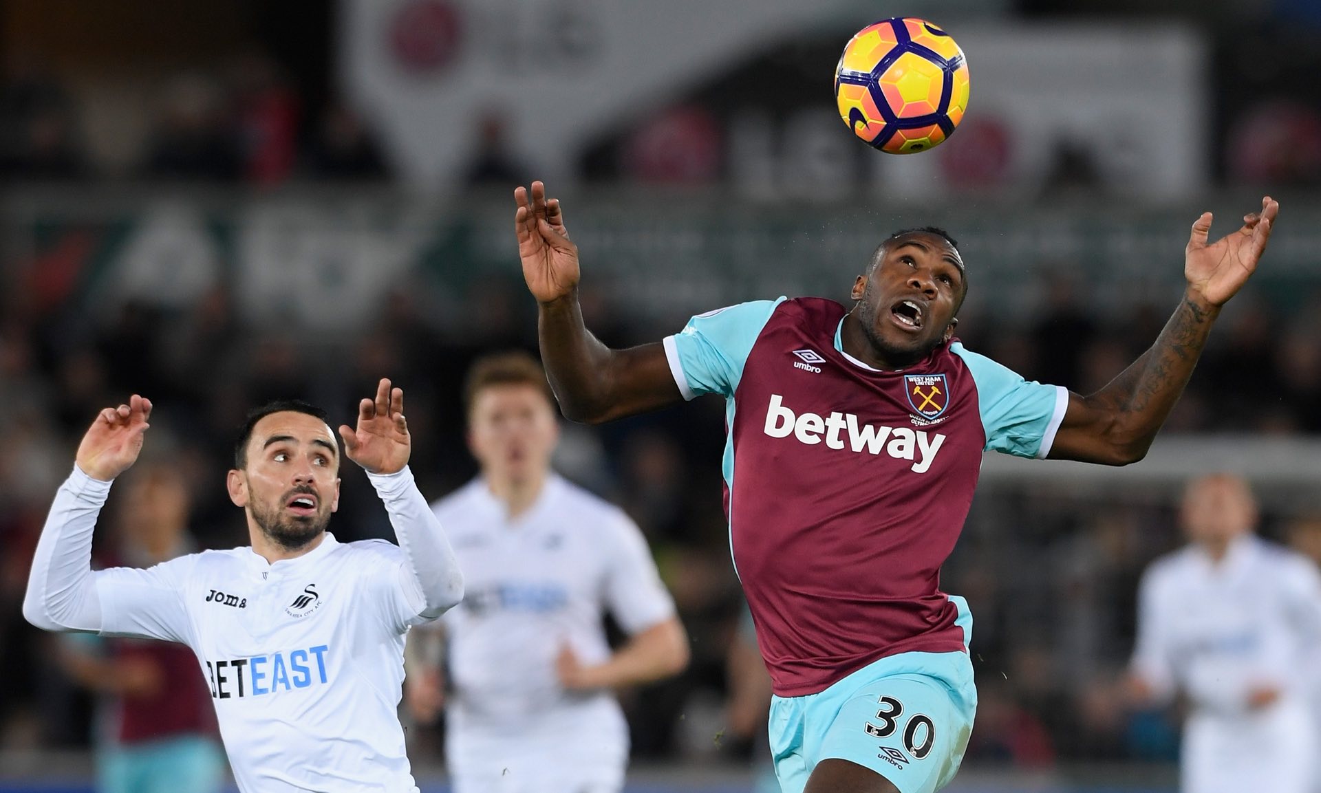 最终在某些 最终在某些