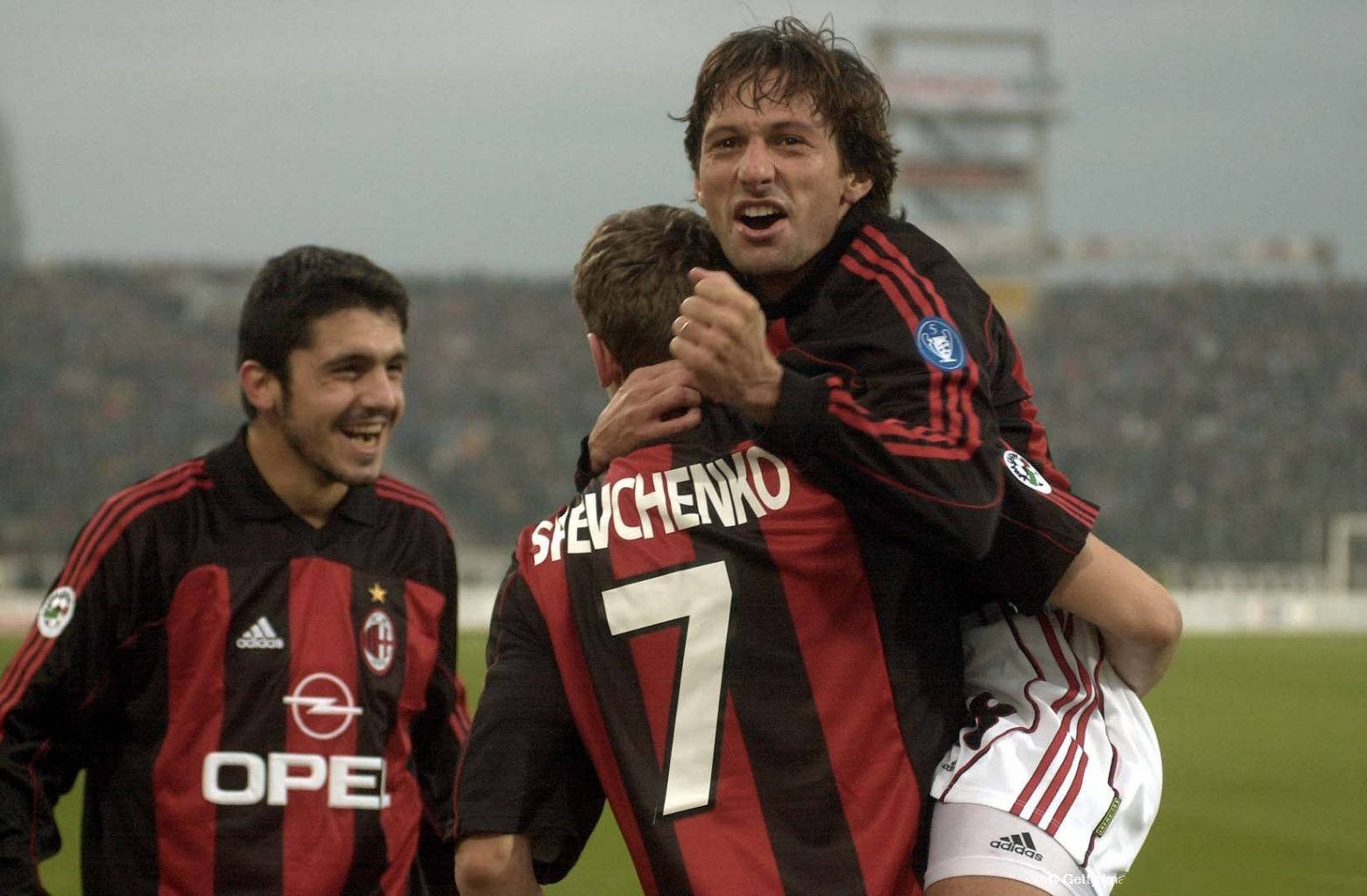 都可能决定 都可能决定